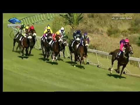 2018.01.06 Politician Stakes (RSA) - Doublemint