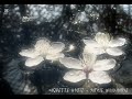 Random Playlist