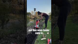 Early Spring Garden Tour #botanylovers #garden #gardentour #spring