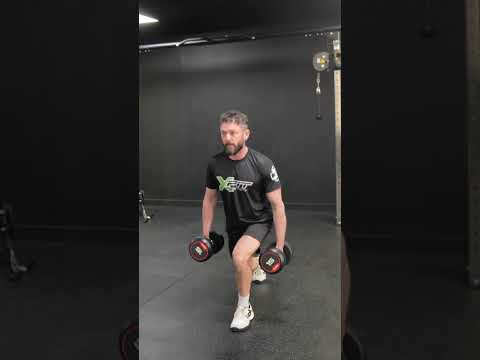 DB Reverse Lunges