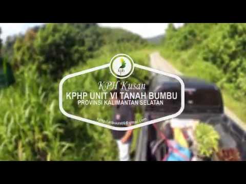 Pengobatan yang paling efektif untuk impotensi Apa daging berguna untuk potensi