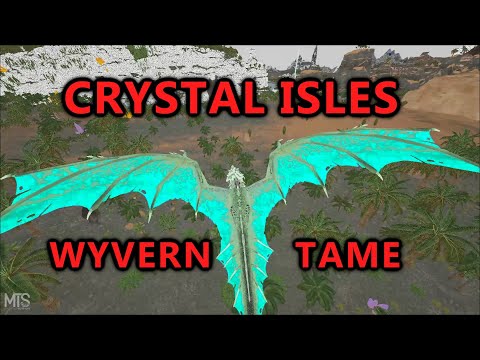 How to tame Crystal Wyverns on Crystal Isles -  Ark: Survival Evolved