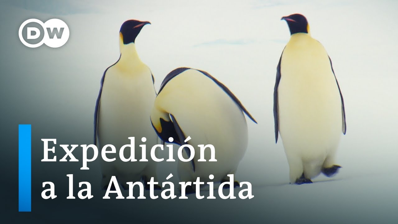 Consecuencias del cambio climático | DW Documental