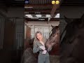 Horse Funny Horse Girl Shorts Cats Cute Trend Crazy Reels Women Dog