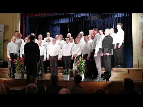 ŽABE - Združeni moški zbor na koncertu Mopz Vidovo v Šentvidu dne 24.5.2019