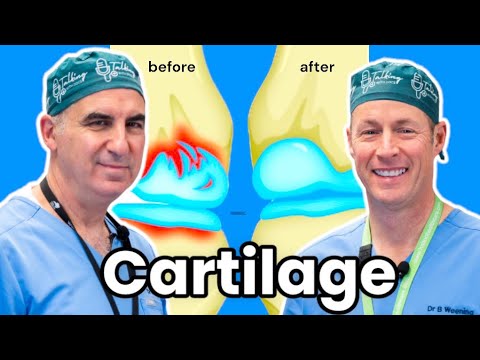 How To Grow Your Cartilage. Can We Actually Do It?