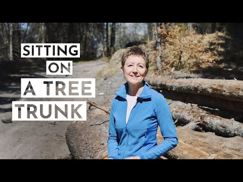 Day 5 - Sitting on a Tree Trunk // 21 Days on the Mountain