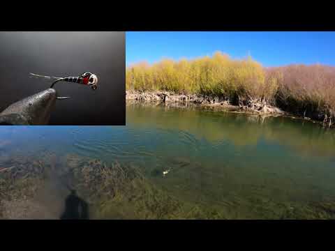 537. 22. Oktober 2025 (Tenkara-Fliegenfischen)