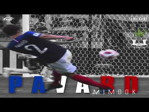 MIMOOK - Pavard (LSUNIT/ PROD BY KAM'USIK)