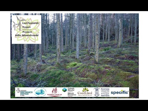 , title : 'Biodiversity of Conifer Plantations- the Lost Peatlands Project'