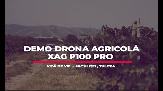 Demo XAG P100 PRO viță de vie
