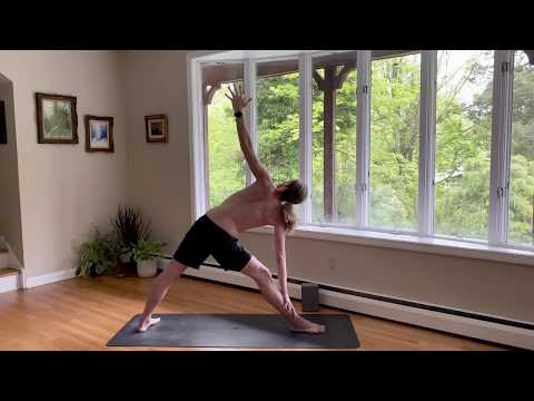 40-Minute Alignment Yoga for Stability, Grounding, Balance, & Stretching (Level 1) w/ Peter Lyons