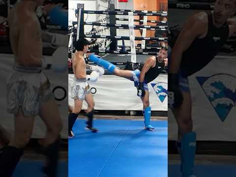 Having Fun Sparring! 💥