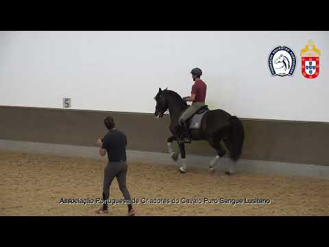 230417 8 Proj Ensino APSL&FEP - Luis Fernandes com Nescafé