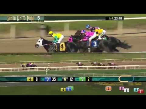 Robert B Lewis Stakes (Grade III) - 02/03/18
