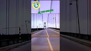 The Shocking Bridge Collapse 🌉