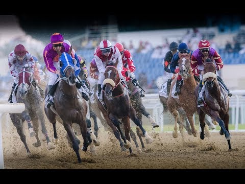 9th Race Meeting of Season 2018/2019