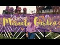 Dubai Miracle Garden World S Largest Flower Garden 2019