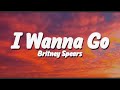 Britney Spears I Wanna Go Lyrics