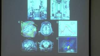 1. Introduction, the visual system