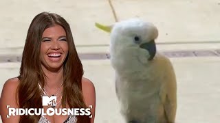 Chanel West Coast Would NOT Date Someone With a Pet Bird 🦜 Ridiculousness