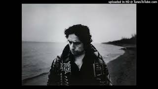 Bob Dylan live , 'Til I Fell In Love With You , Binghamton 1999