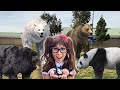 Bears For Kids Soso Brings Her Bear Animal Toys To Life