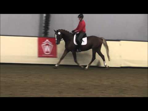 FIRST FLIGHT SPIRIT von Cavallieri xx - Almox Prints J - Steuben