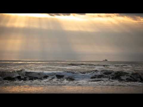 The Conglomerate - Fish