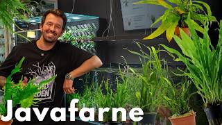 Miniatura filmu z YouTube