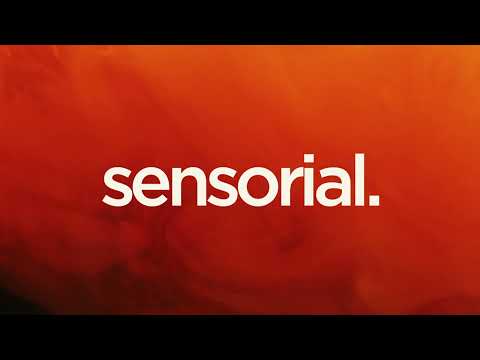 Bauti Tesei - Criminal