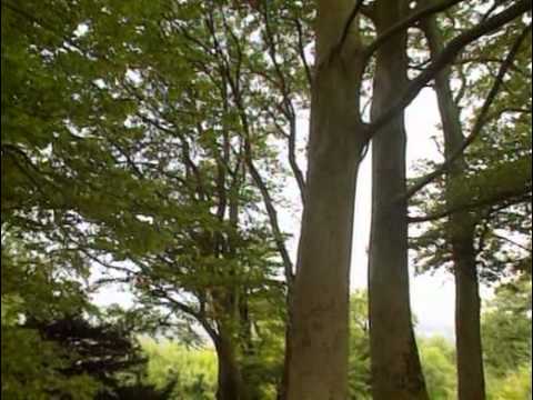 La otra realidad.Episodio 16: El misterio de los sueños