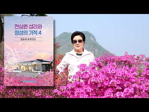 [ AI해설 ] 천심원 섬리와 정성의 기적4 (말씀과 효정간증)
