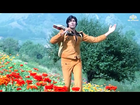 Phulon Ke Dere Hain - Kishore Kumar | Amitabh Bachchan | Zameer | Ched Chad Songs