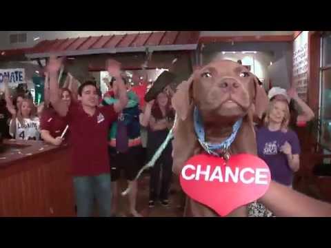 POV Productions LLC video.