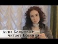 Сергей Есенин "Песнь о собаке" 