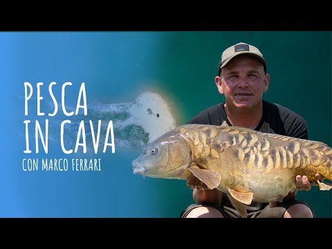 Pesca in cava - carp fishing - Nash Tackle