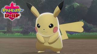 有名なやつだーーッ！！【ポケモン剣盾】＃４