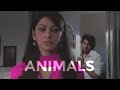 Viraj X Sia Animals
