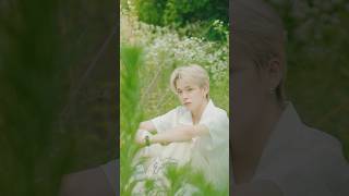 Download lagu 이곳은 너란 Wonderland 🌿 #TREASURE #트레저 #2NDFULLALBUM #REBOOT #WONDERLAND mp3
