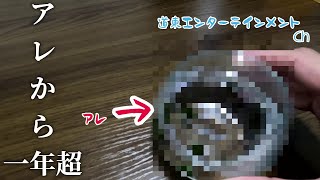 【小型水槽】アレから1年超、観光地でお馴染みのアレの近況報告をします