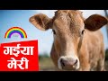 गईया मेरी गईया Gaiya Meri Gaiya Dr Ashok Sinha