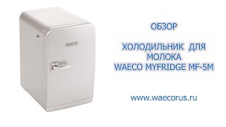 Обзор холодильника для молока WAECO MyFridge MF-5M