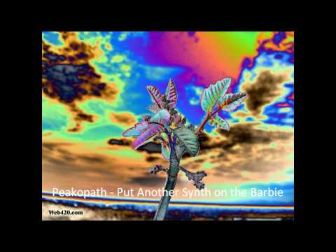 Peakopath -   Put Another Synth on the Barbie