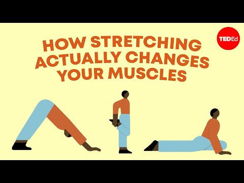 The Surprising Science Behind Stretching Explained