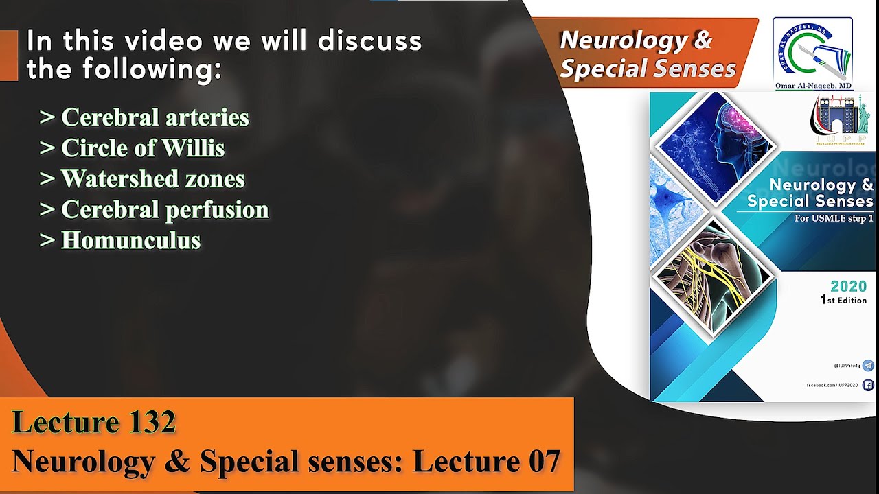 Cerebral arteries || Circle of Willis  || Cerebral perfusion || Homunculus