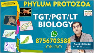 TGT/PGT - LT BIOLOGY || NON-CHORDATES (PHYLUM-01) || Aamir Siddiqui || THE BIO & CIVIL JUNCTIONS