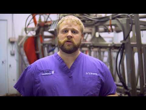 How Freeze Branding Cattle Works and Why Freeze Branding is Better