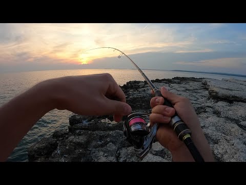 LRF in Croatia (Istria) 2023