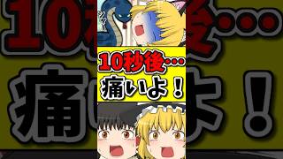 10秒後･･･ヘビにかまれて猫が泣いてしまう！？早く病院へ連れて行かないと！ #shorts #博麗霊夢 #ゆっくり茶番劇